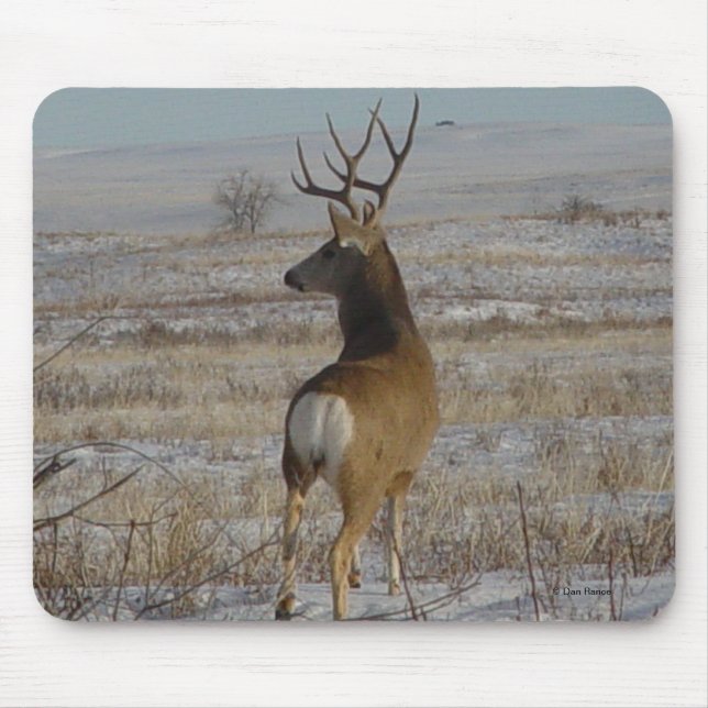 Mousepad Cervo Mulo Macho D20 na Neve (Frente)