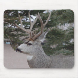 Mousepad Cervo Mulo Macho D25