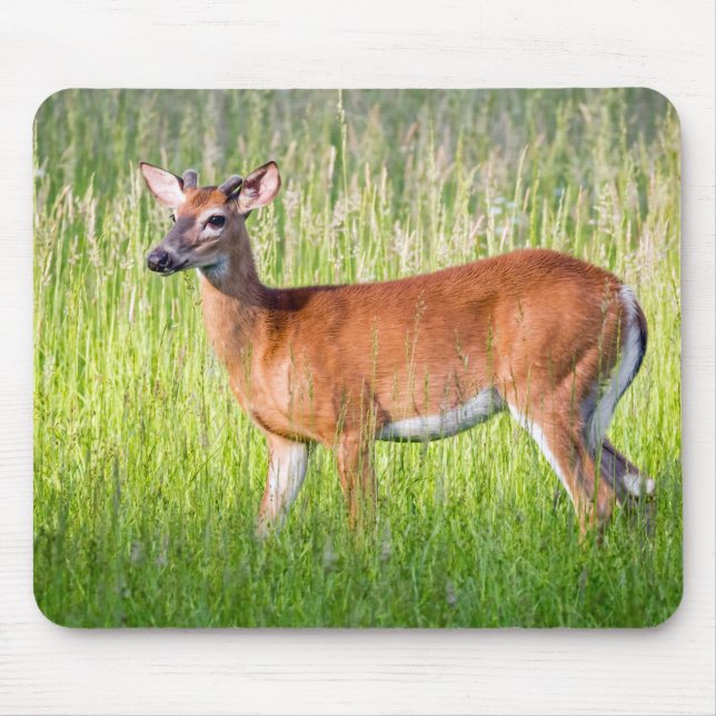 Mousepad Cervo na grama alta (Frente)