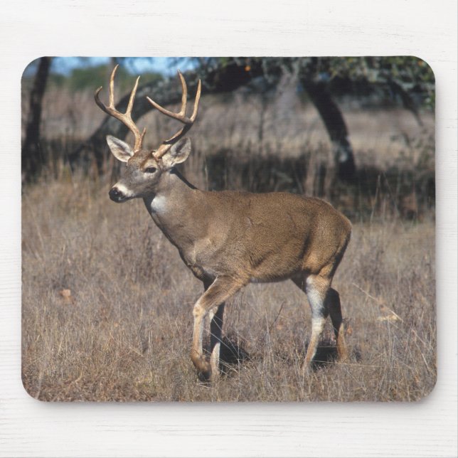 Mousepad Cervos (Frente)