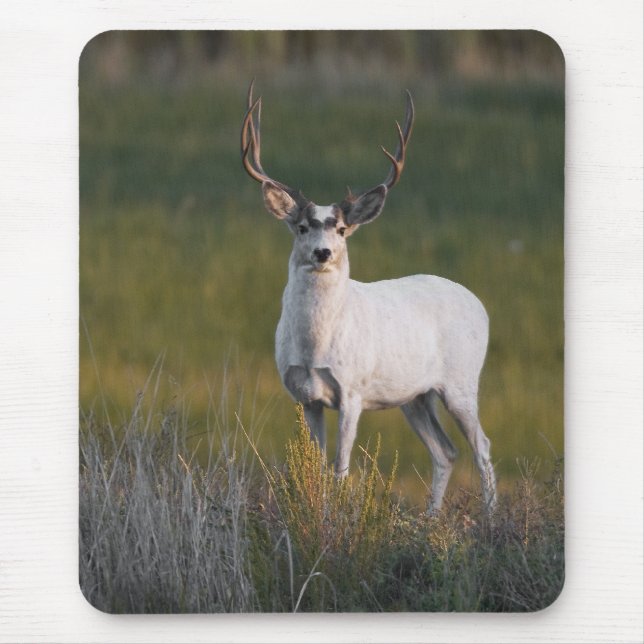 Mousepad Cervos brancos mais meeker 2 (Frente)