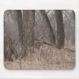 Mousepad Cervos D1 Brancos-taileded em árvores de Cottowood