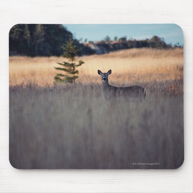Mousepad Cervos no campo (Frente)