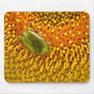 Mousepad Cetonia aurata
