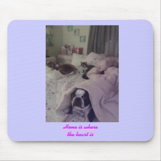 Mousepad Céu do animal de estimação