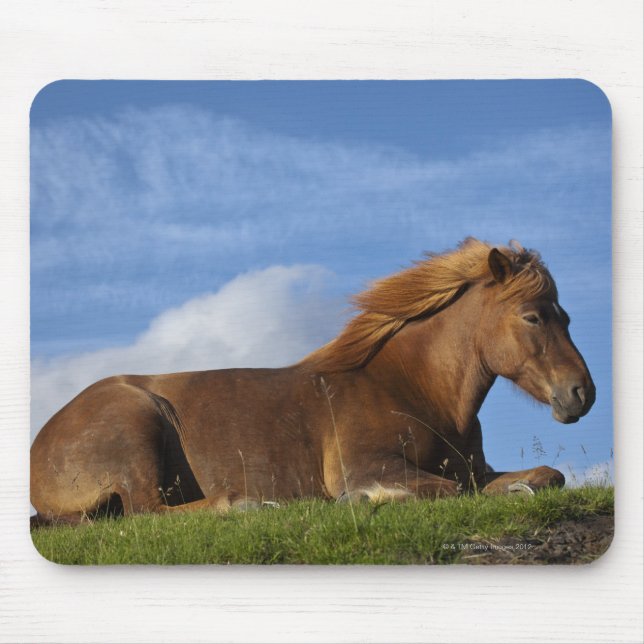 Mousepad Céu e repouso islandês (Frente)