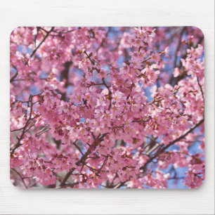 Mousepad Céu Rosa Flor de Cerejeira Sakura