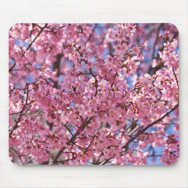 Mousepad Céu Rosa Flor de Cerejeira Sakura (Frente)