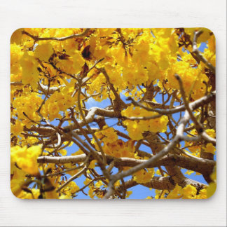 Mousepad Chá do ouro