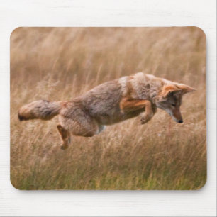 Mousepad Chacal que pula - prados do Gibbon