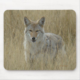 Mousepad Chacal R2 na grama alta