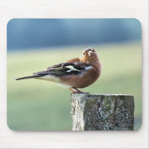 MOUSEPAD CHAFFINCH