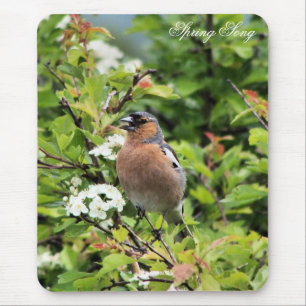 MOUSEPAD CHAFFINCH