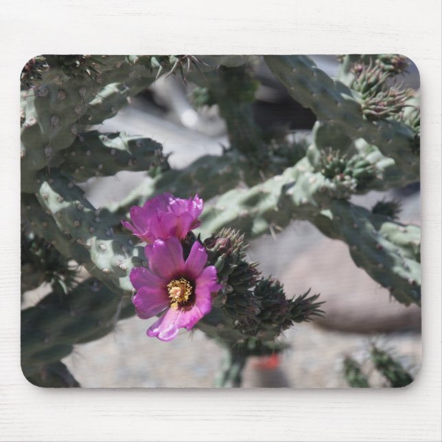 Mousepad Challa Cactus em flor (Frente)