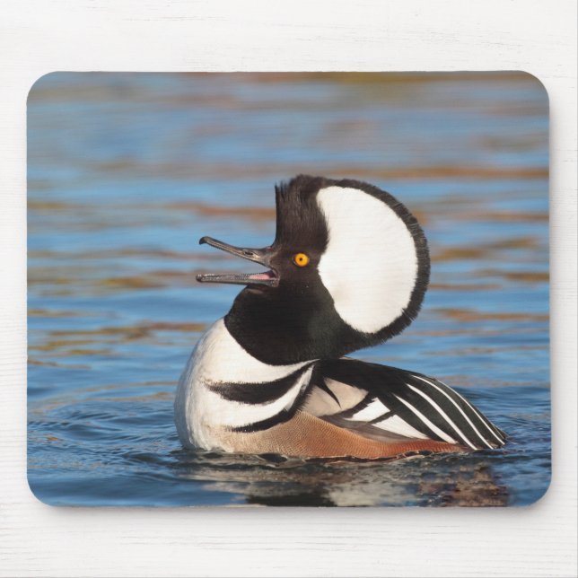 Mousepad Chamada de Merganser Hooded (Frente)