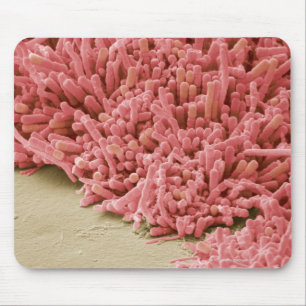 Mousepad Chapa-formando as bactérias, exploração colorid