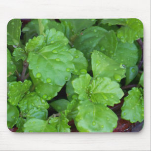 Mousepad Charlie de rastejamento