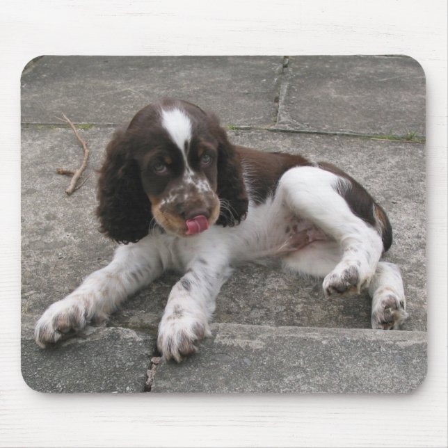 Mousepad Charlie O Springer! (Frente)