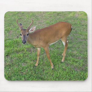 Mousepad Chave Deer