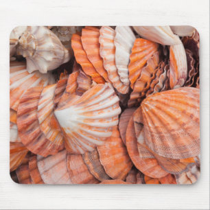 Mousepad Chaves da Flórida, Key West, conchas