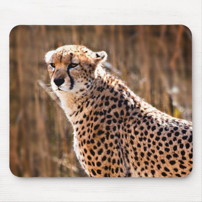Mousepad Cheetah (Frente)