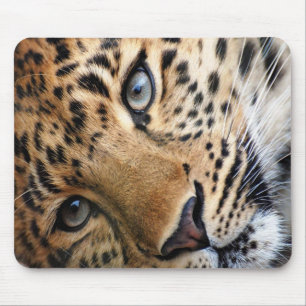 Mousepad Cheetah