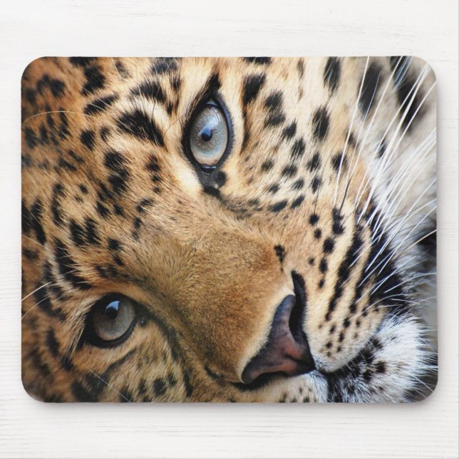 Mousepad Cheetah (Frente)