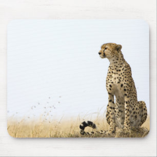 Mousepad Cheetah