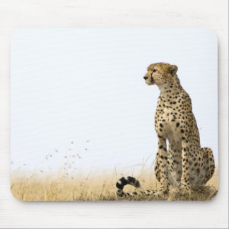 Mousepad Cheetah