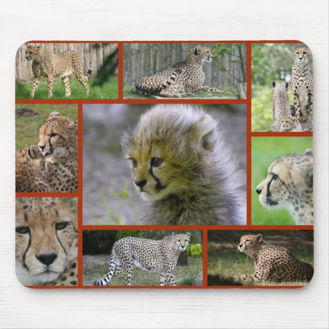 Mousepad Cheetah-Collage 001 Poster (Frente)