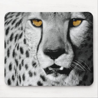 Mousepad Cheetah em white black and