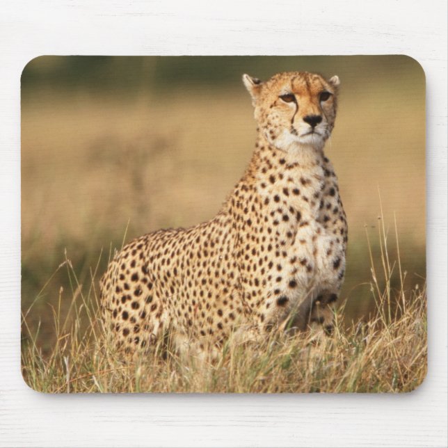 Mousepad Cheetah no pequeno monte para melhor visibilidade (Frente)