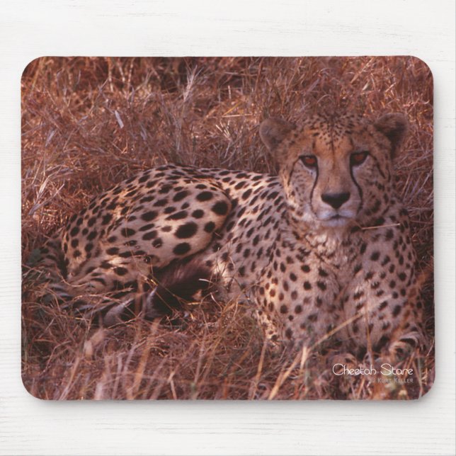 Mousepad Cheetah Stare (Frente)