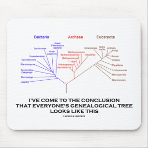 Mousepad Cheguei à conclusão da árvore genealógica