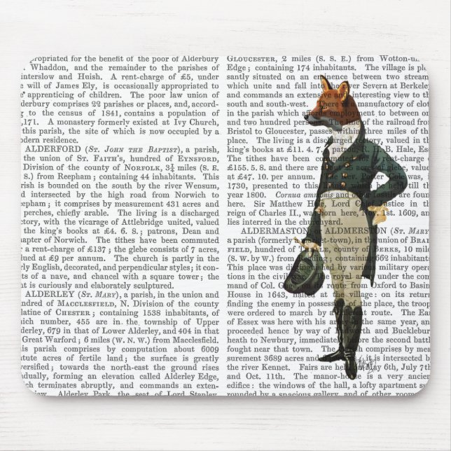Mousepad Cheio 2 da Fox Dandy (Frente)