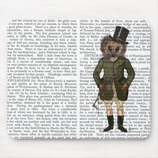 Mousepad Cheio de cavaleiro Hedgehog (Frente)