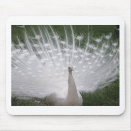 Mousepad Cheio de Pavão branco (Peafowl)