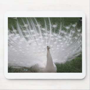Mousepad cheio de Pavão branco (Peafowl)