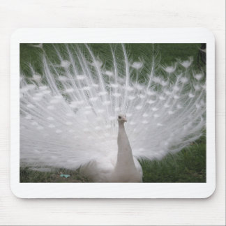 Mousepad Cheio de Pavão branco (Peafowl)