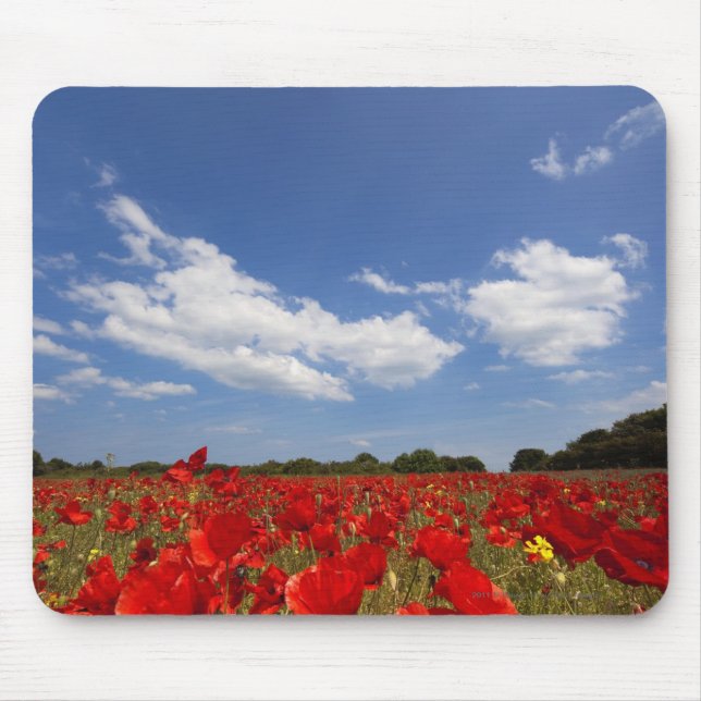 Mousepad Cheio do campo de flores vermelhas (Frente)