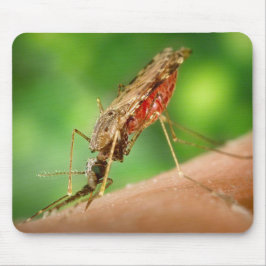 Mousepad Cheio do Inseto Sanguíneo de Mosquito