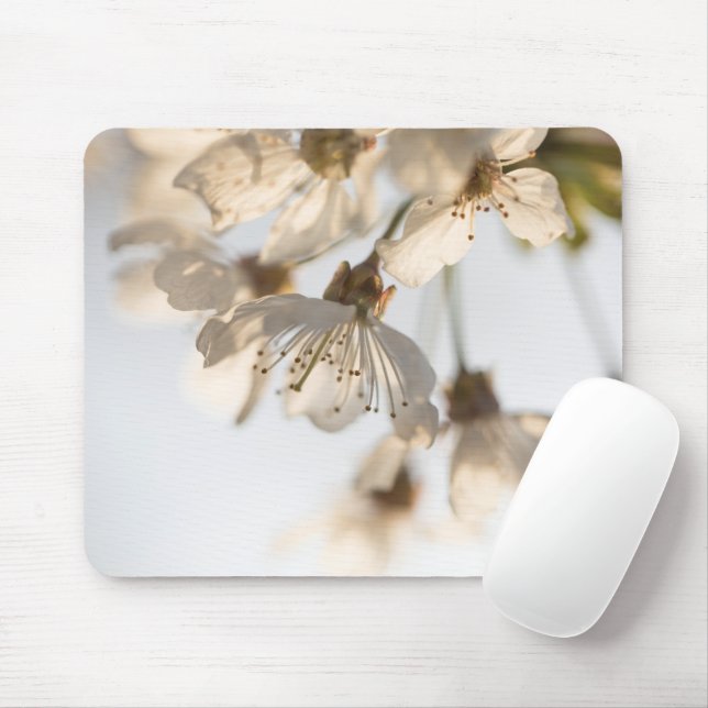 Mousepad Cherry Blossom Nature Photo (Com mouse)