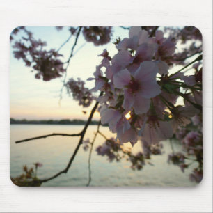 Mousepad Cherry Blossom Sunset em Washington DC