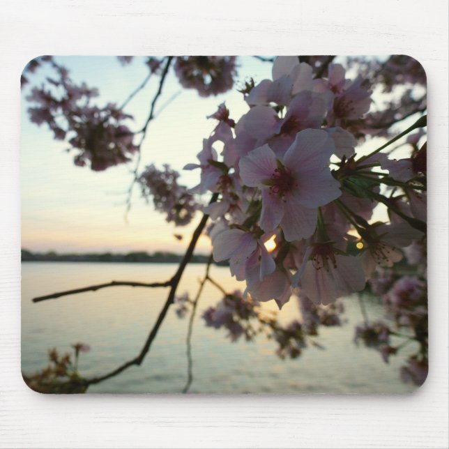 Mousepad Cherry Blossom Sunset em Washington DC (Frente)