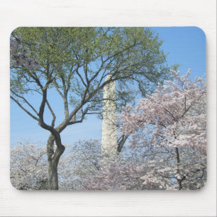 Mousepad Cherry Blossoms e o Monumento de Washington em DC
