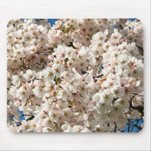 Mousepad Cherry Tree in Bloom, Oregon
