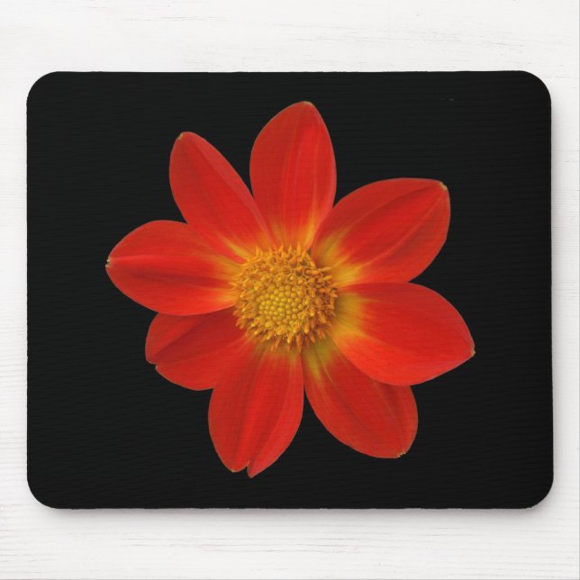 Mousepad Cherub alpino (Dahlia) (Frente)