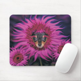 Mousepad Chhuahua Puppy Flor Flor Pino Pino