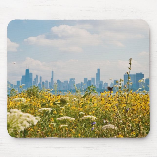 Mousepad Chicago como visto do pássaro do porto de Montrose (Frente)