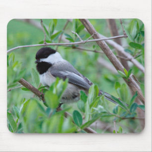 Mousepad Chickadee